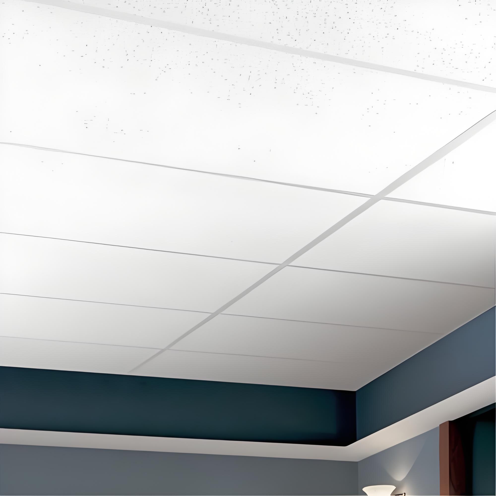 Mineral wool ceiling tile (2)