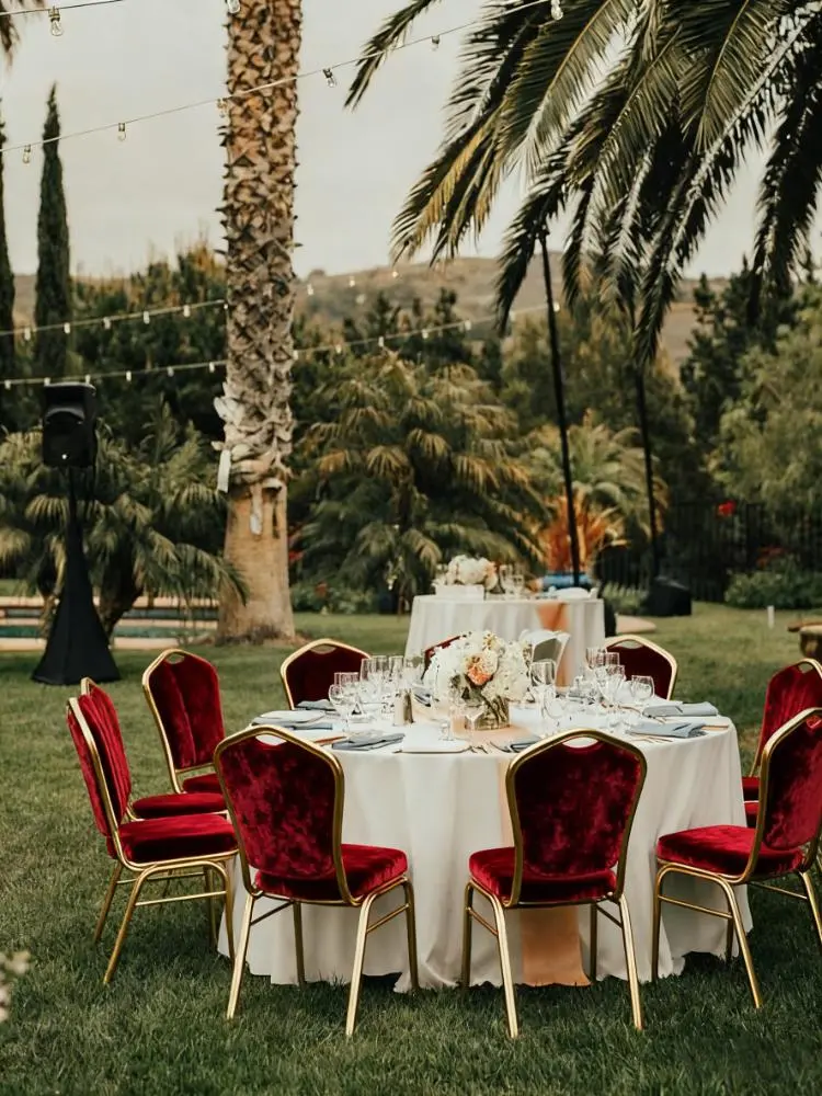 Banquet chair (4).jpeg