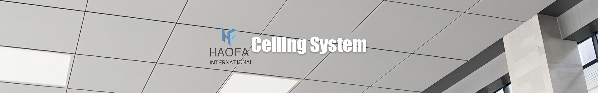 Ceiling System